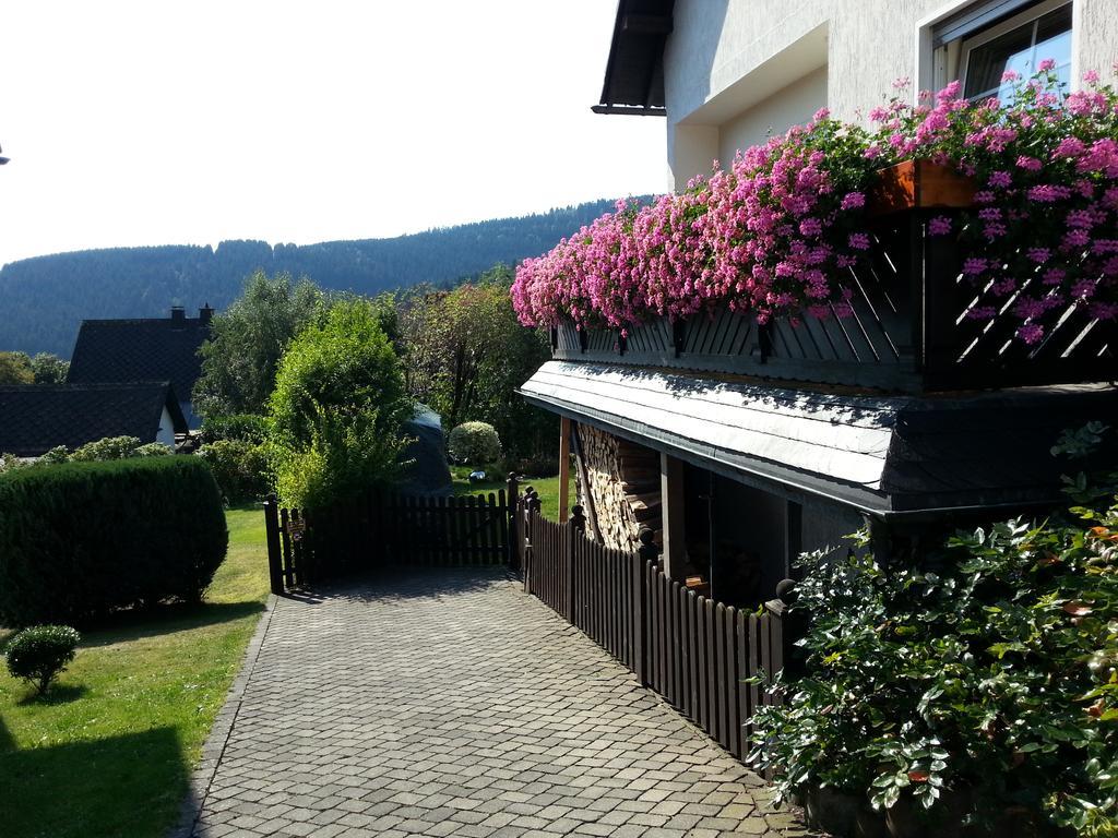 Ferienwohnungen Luge - Winterberg Dış mekan fotoğraf