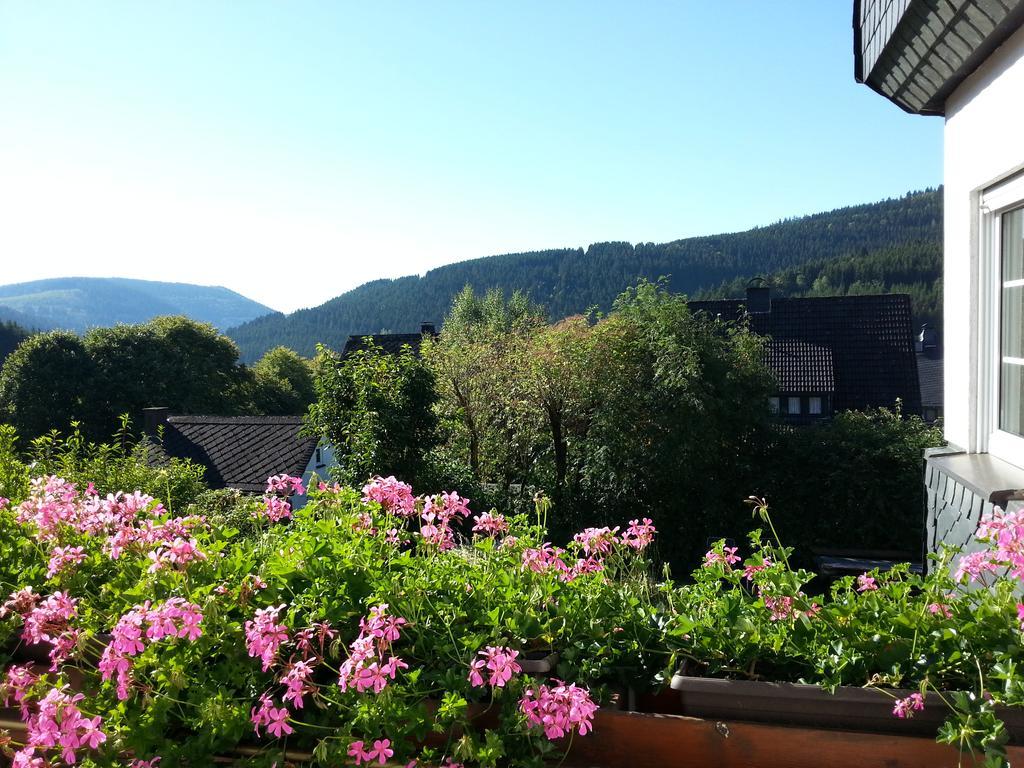 Ferienwohnungen Luge - Winterberg Dış mekan fotoğraf