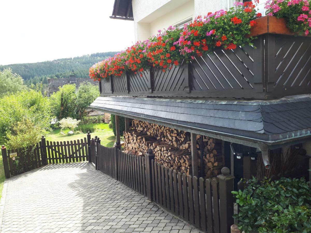 Ferienwohnungen Luge - Winterberg Dış mekan fotoğraf